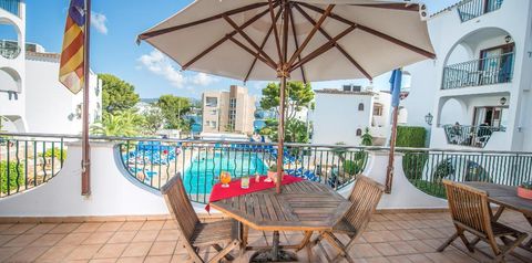 obiekt, teren hotelu, balkon / taras, basen