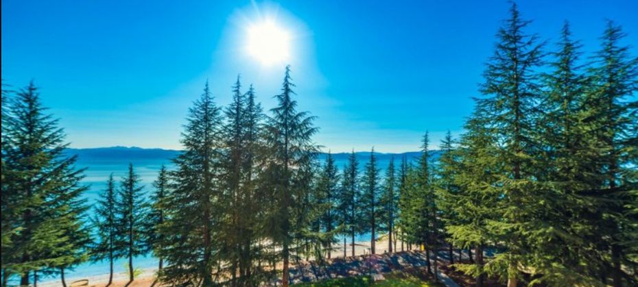 Tourist (Ohrid)