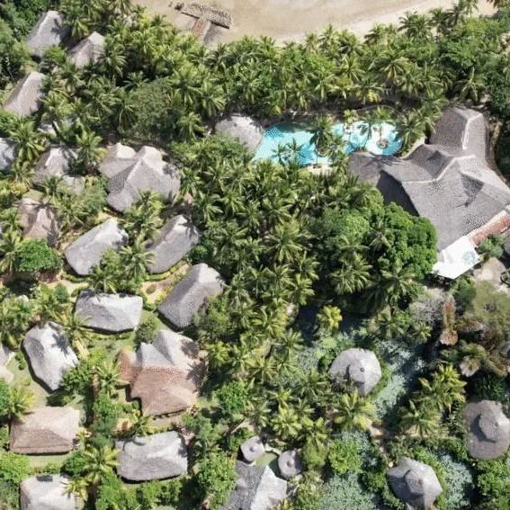 Ravintsara Wellness – 2026-09-27 - Zdjęcie 2