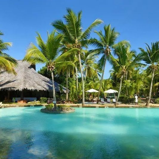 Ravintsara Wellness
