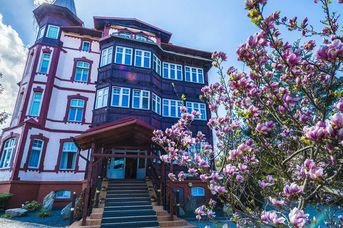 Magnolia 3 (Świeradów Zdrój)