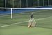 sport i rekreacja, korty tenisowe