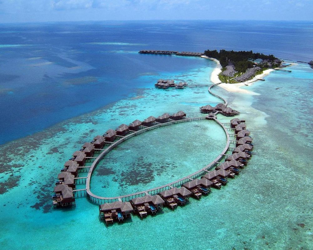 Coco Bodu Hithi