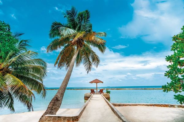 Ellaidhoo Maldives by Cinnamon (ex. Chaaya Reef)