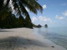 Kuramathi Cottage And Spa 4*