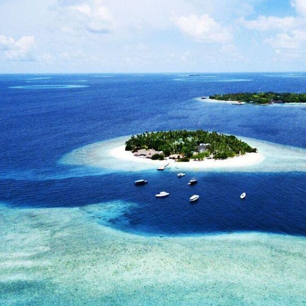 Malahini Kuda Bandos