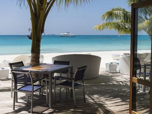 restauracja, beach bar