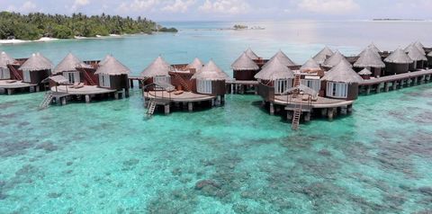 bungalowy, teren hotelu