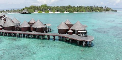 bungalowy, teren hotelu