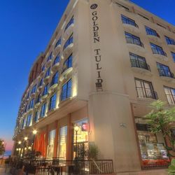 Vivaldi ex Golden Tulip Vivaldi