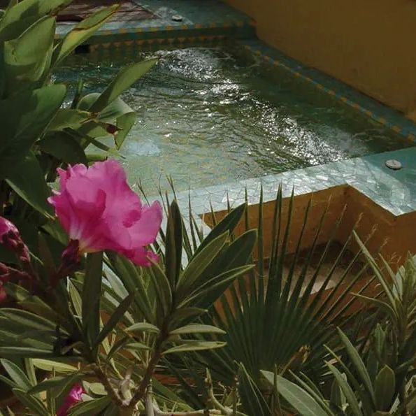 Riad Karmela