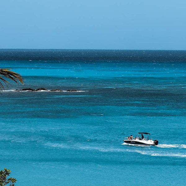 Ocean V