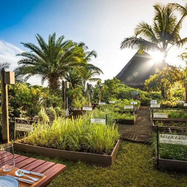 The Oberoi (Pointe aux Piments) – 2025-10-22