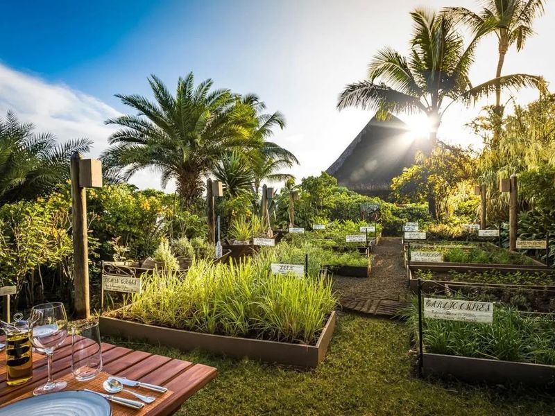 The Oberoi Beach Resort