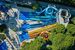 aquapark