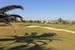 pole golfowe