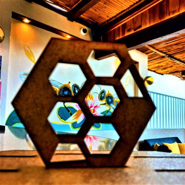 12 Bees by Kavia – 2026-01-17 - Zdjęcie 3