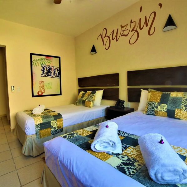 12 Bees by Kavia – 2026-01-17 - Zdjęcie 2