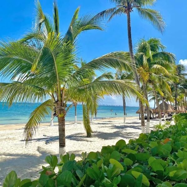 All Ritmo Cancun Resort & Waterpark