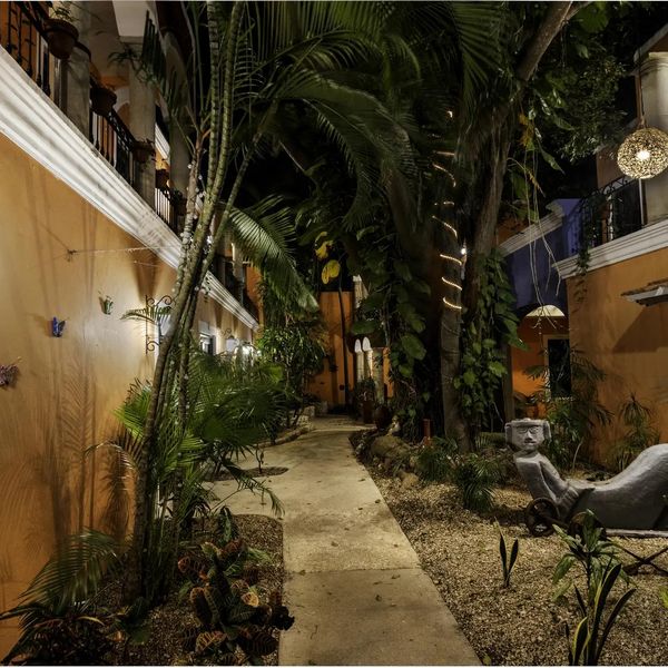 Casa de las Flores – 2026-04-05 - Zdjęcie 2