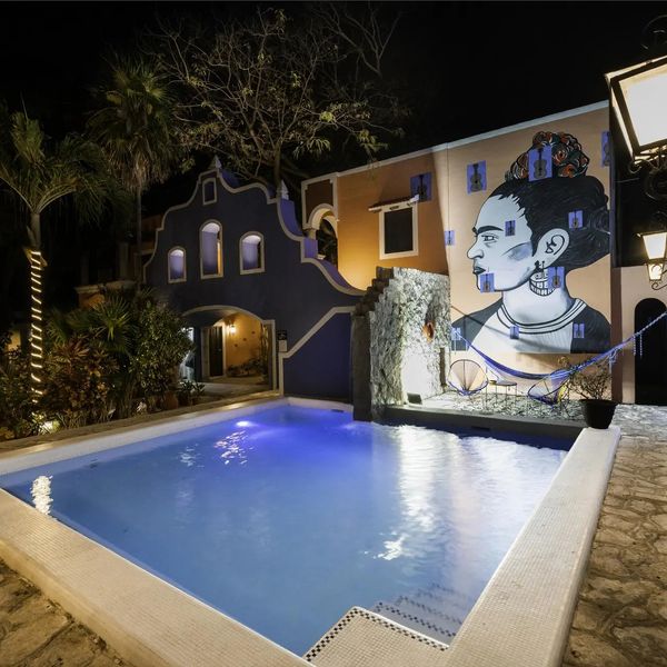 Casa de las Flores – 2026-04-05 - Zdjęcie 3