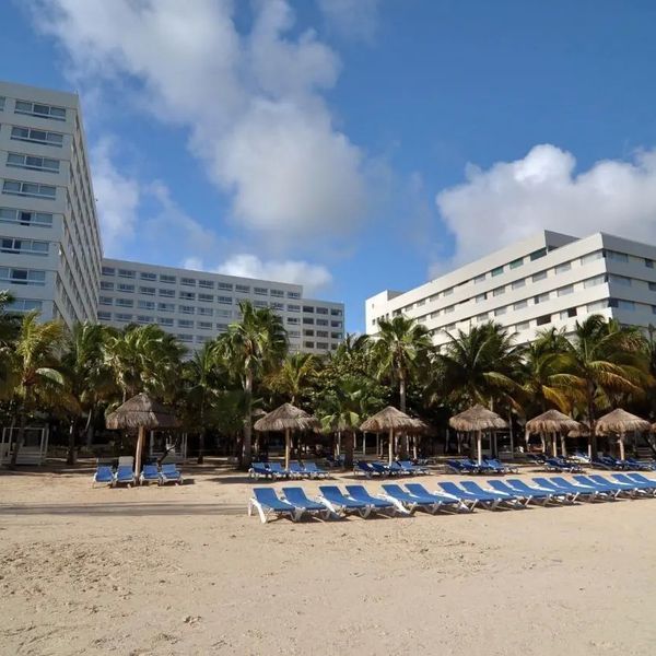 Grand Oasis Palm