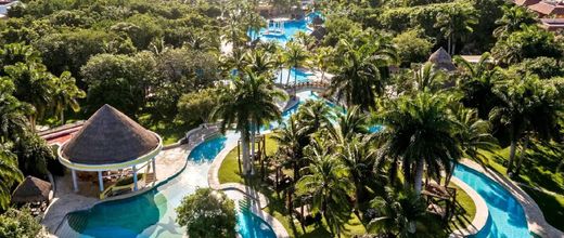 Iberostar Paraiso Del Mar