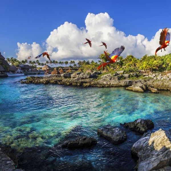 Xcaret Mexico