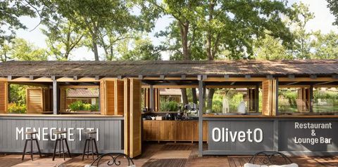 restauracja, drink bar