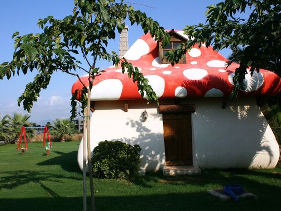 Miniaturka 24