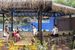 basen, pool bar