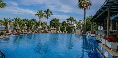teren hotelu, basen