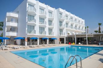 Napa Jay