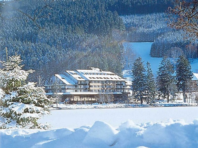 Maritim Titisee