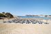 plaża