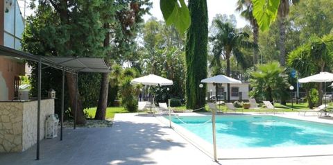 teren hotelu, basen, pool bar