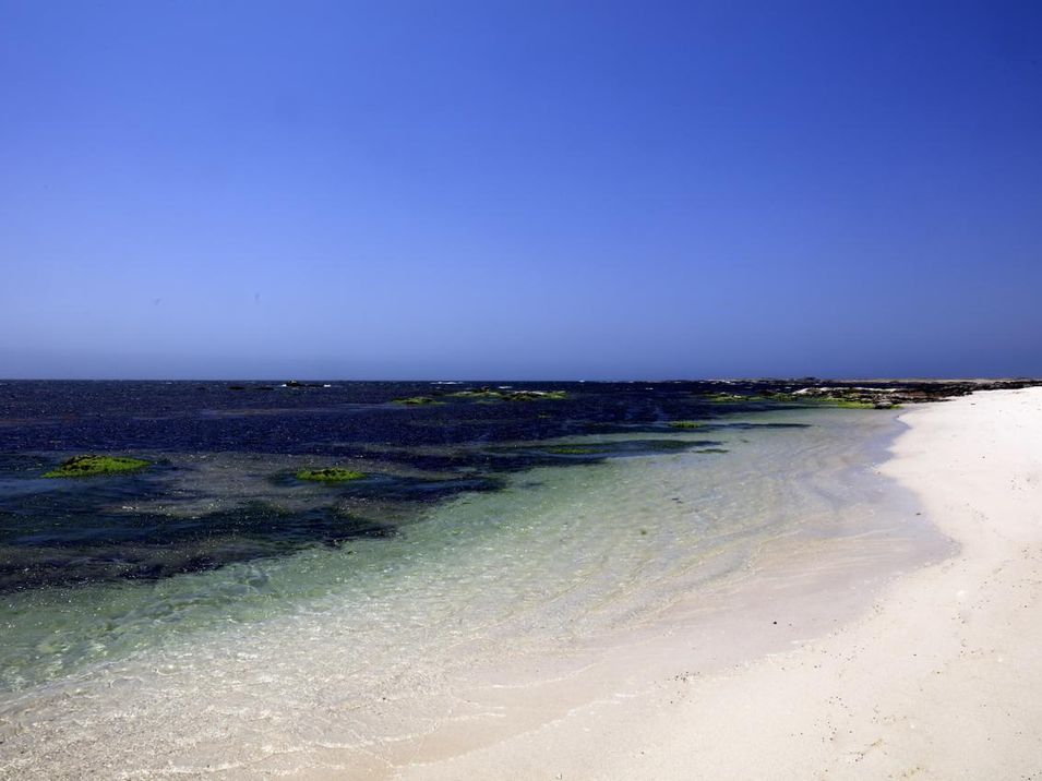 plaża