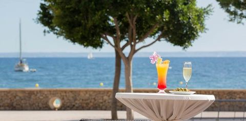 restauracja, drink bar