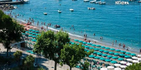 plaża