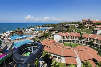 Papillon Belvil Club