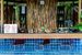 basen, pool bar