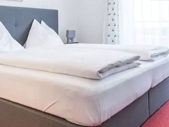 Pension Koidl 3*