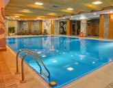 Perła Bieszczadów Geovita Czarna