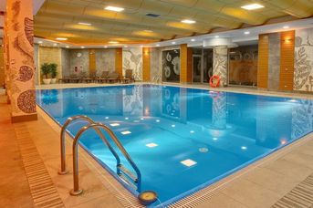 Perła Bieszczadów Geovita Czarna