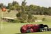 pole golfowe