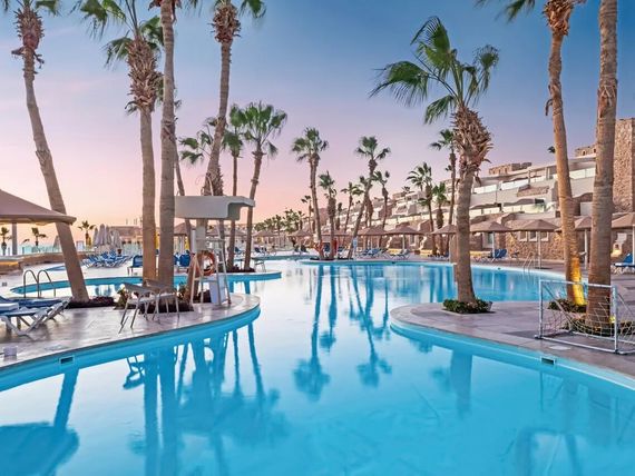 Miniaturka 31