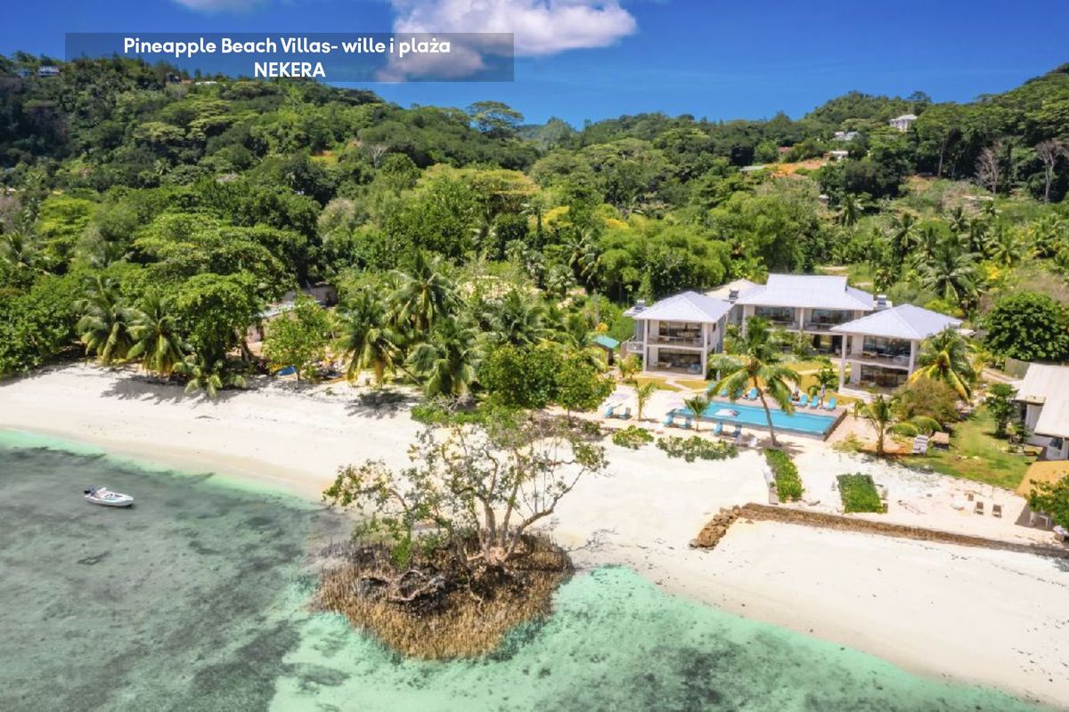 budynek główny, basen, plaża