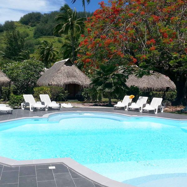 Hibiscus Moorea – 2026-03-20