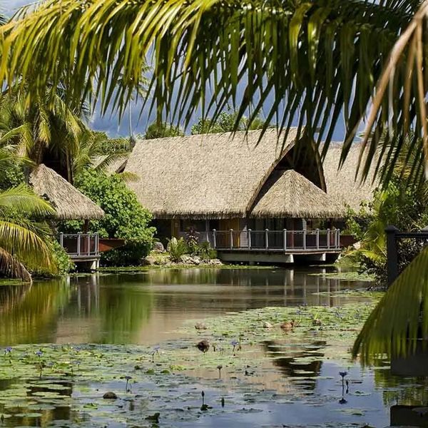 Maitai Lapita Village – 2026-03-20 - Zdjęcie 2