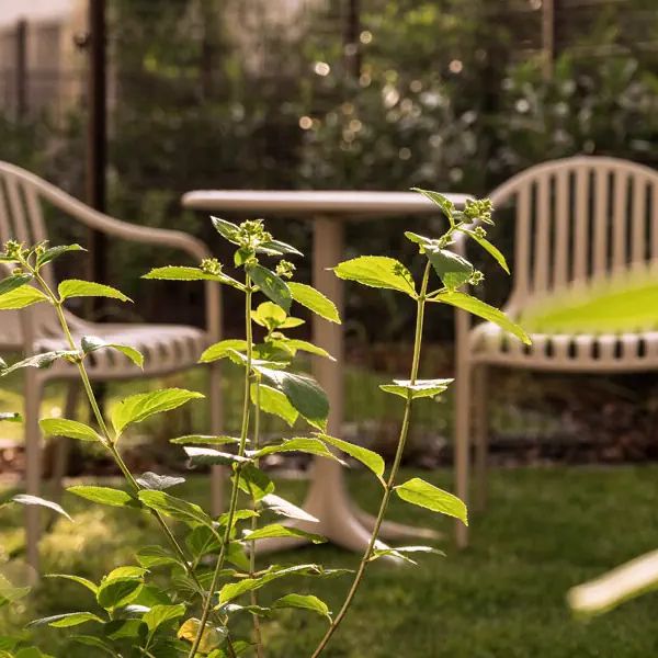 Baltic Season Spa Apartments